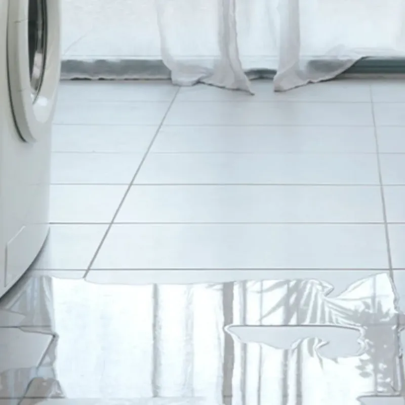 Appliance Leak Cleanup in Bernie, MO