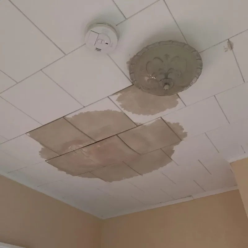 Ceiling Water Damage Repair in Bernie, MO