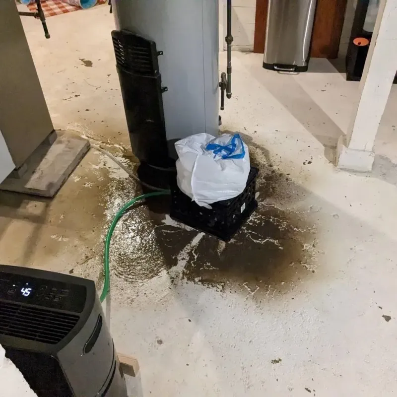Sewage Backup Cleanup Service in Bernie, MO